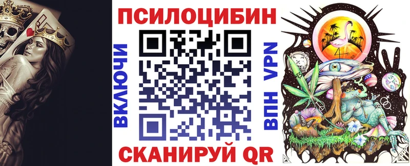 Псилоцибиновые грибы Psilocybe  Солигалич 