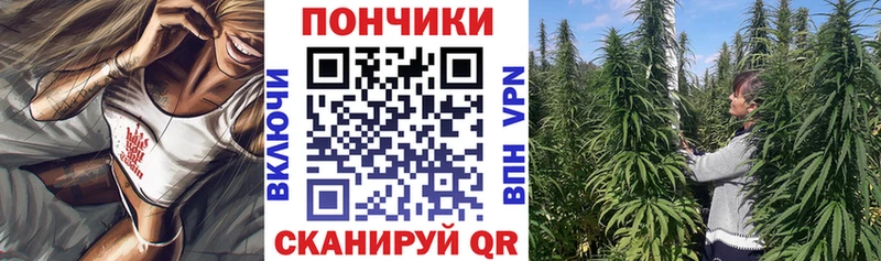 даркнет сайт  Солигалич  мориарти официальный сайт  Бошки Шишки THC 21% 
